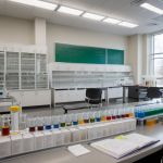 Os Avanços da Neurociência no Entendimento do Transtorno Bipolar